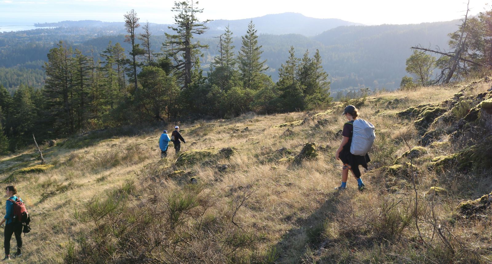 Western Educational Adventures Sooke Hill Backcountry Hike Overlook