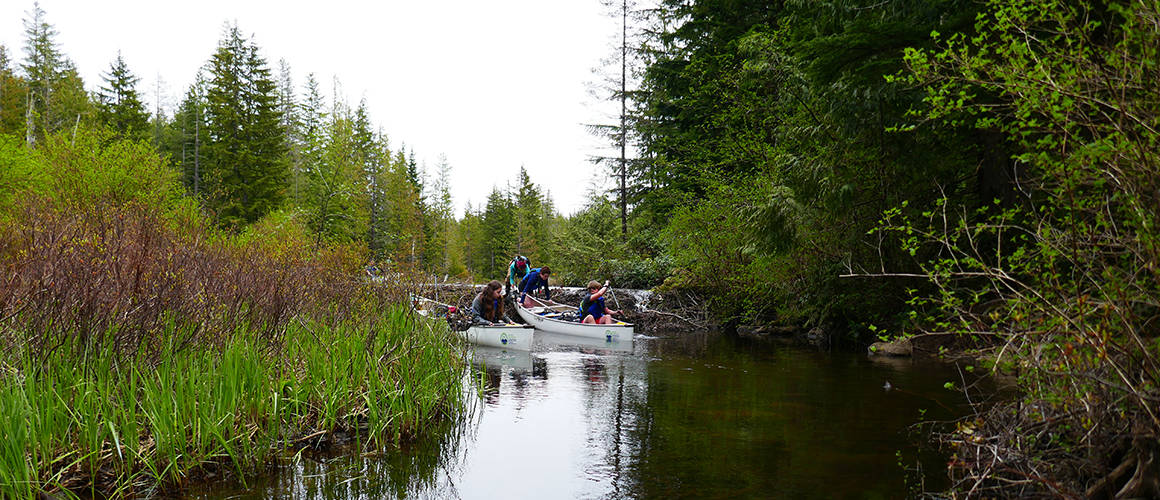 Vancouver Island Beaver Dams and Canoes