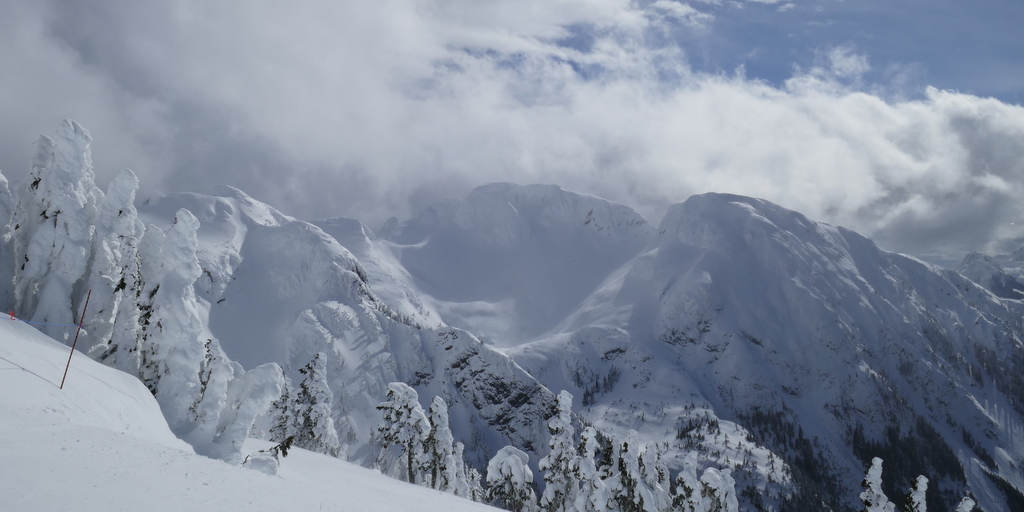 cooking a nutrious meal at camp
