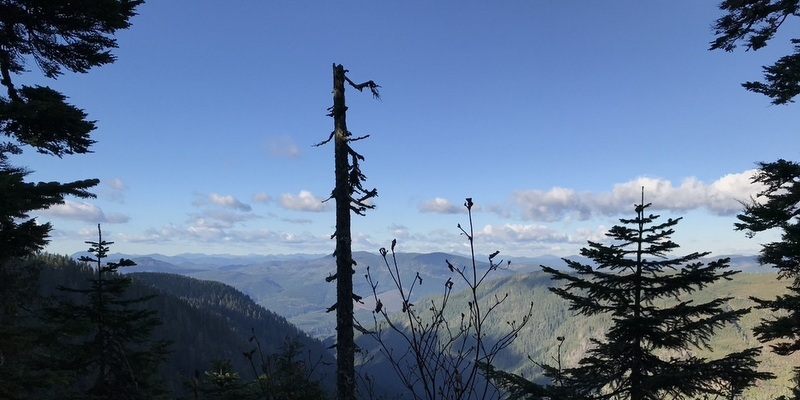 the view from the sooke hills trail