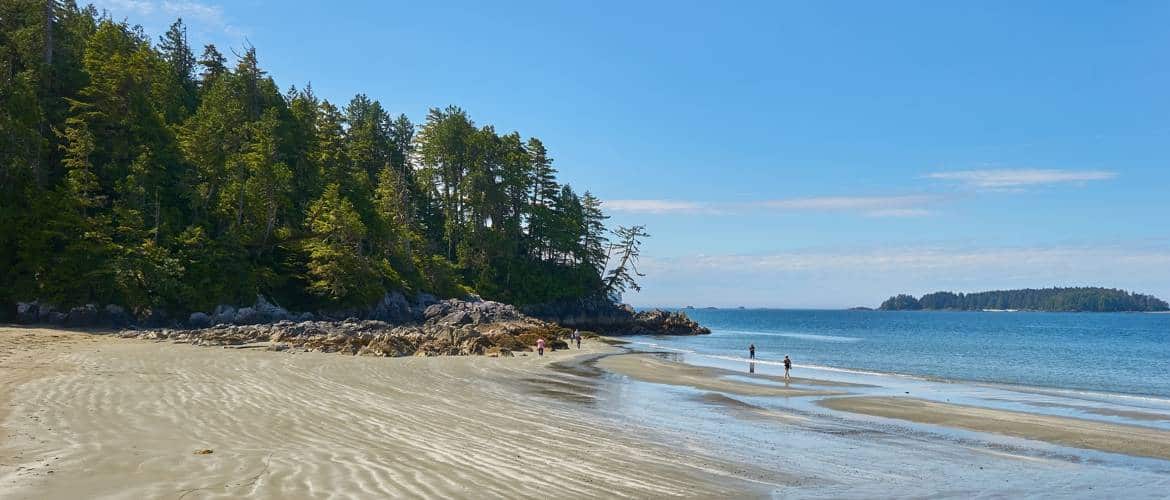 Vancouver Island childrens surf camps